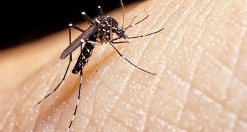 &iquest;Cu&aacute;les son los s&iacute;ntomas del dengue y de que manera prevenirlos?
