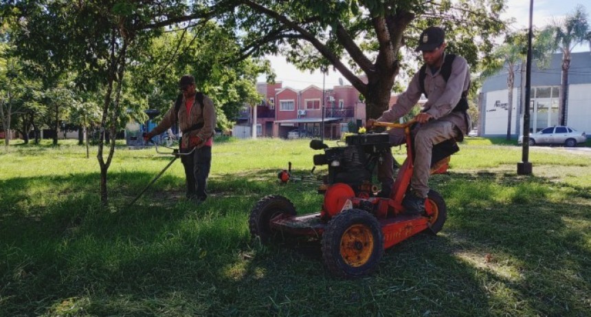 D&oacute;nde trabajar&aacute;n las &aacute;reas operativas del Municipio de la capital esta semana
