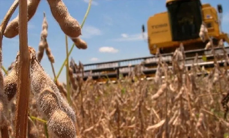 Productores rurales reclaman quita de retenciones 