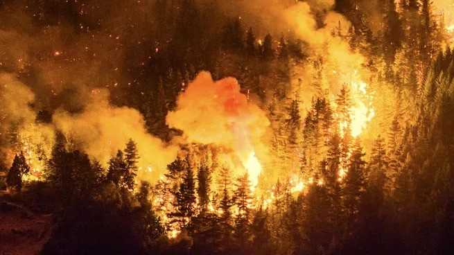 Lluvias en Chubut: un alivio esperado frente al fuego que ya arrasó más de 12 mil hectáreas