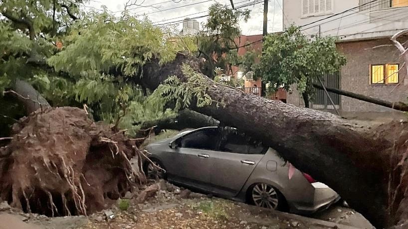 Tucumán: ráfagas derribaron árboles y postes, dejando miles de usuarios sin luz