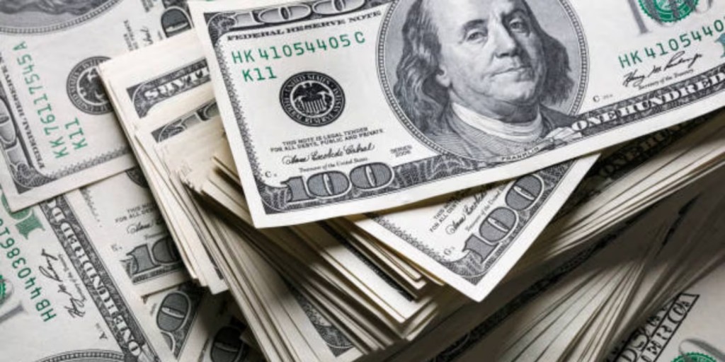 Reservas del BCRA: alcanzan USD 45.561 millones tras compras récord en enero