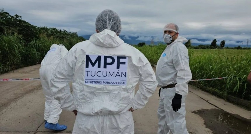 Buscan reconstruir las últimas horas de Erika Álvarez, la joven hallada en un basural de Manantial Sur