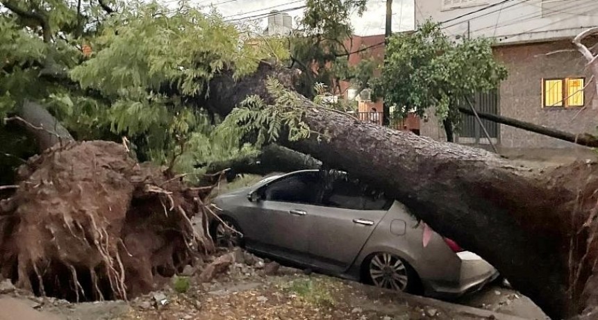 Tucum&aacute;n: r&aacute;fagas derribaron &aacute;rboles y postes, dejando miles de usuarios sin luz