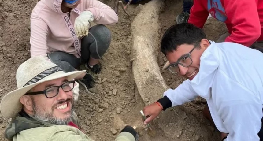 Encuentran en la costa bonaerense un colmillo de mastodonte de m&aacute;s de 100.000 a&ntilde;os de antig&uuml;edad
