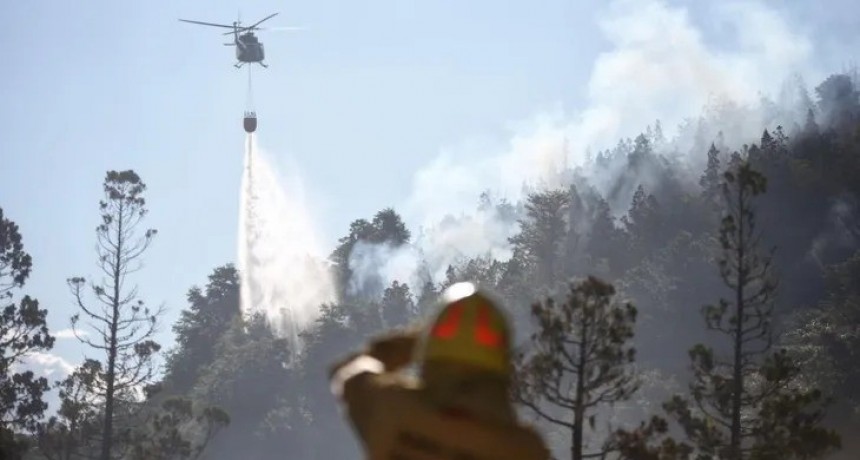 Chubut: incendio forestal reactiva focos en el Parque Los Alerces y mantiene cortada la Ruta Provincial 71