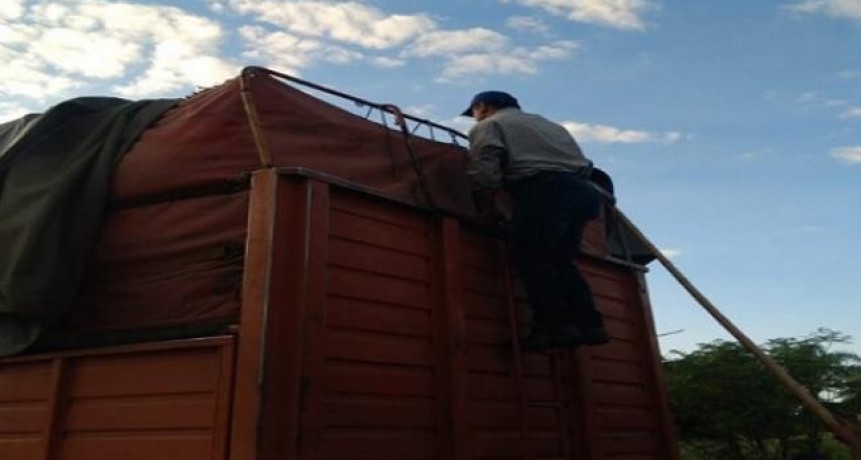 Decomisaron 26 toneladas de tabaco con documentación apócrifa