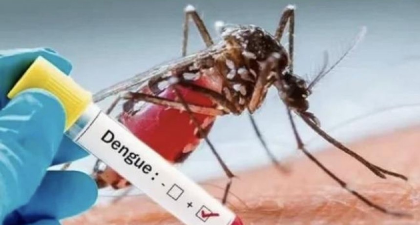 Confirman que se registraron pocos casos de dengue en Tucum&aacute;n