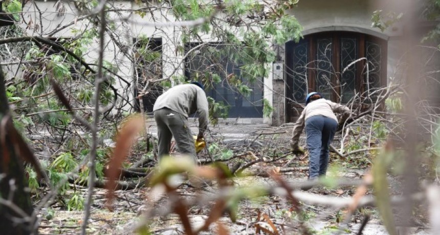 La Municipalidad trabaja desde la madrugada para atender contingencias ocasionadas por el temporal
