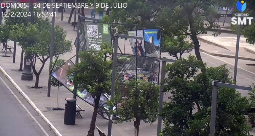 Hay &aacute;rboles y postes ca&iacute;dos en San Miguel de Tucum&aacute;n a causa del temporal