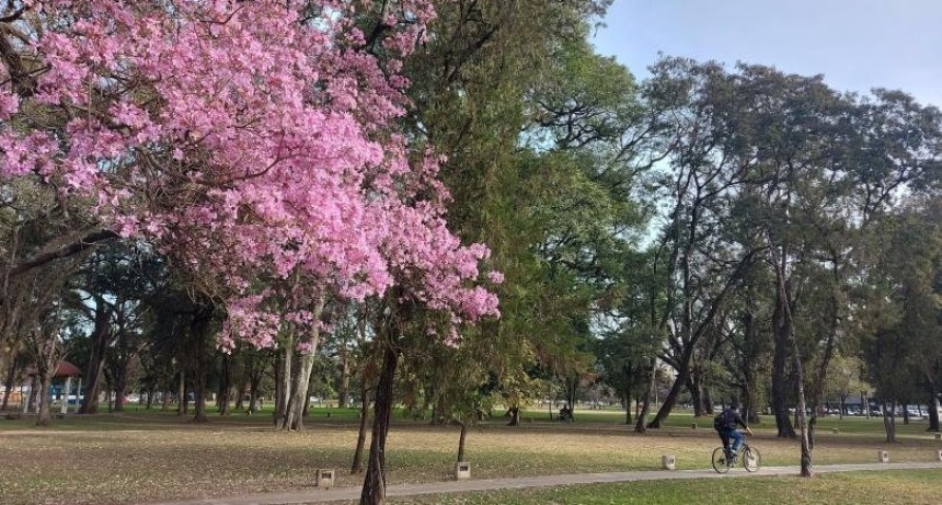 Clima: un mi&eacute;rcoles nublado y agradable se vivir&aacute; en Tucum&aacute;n