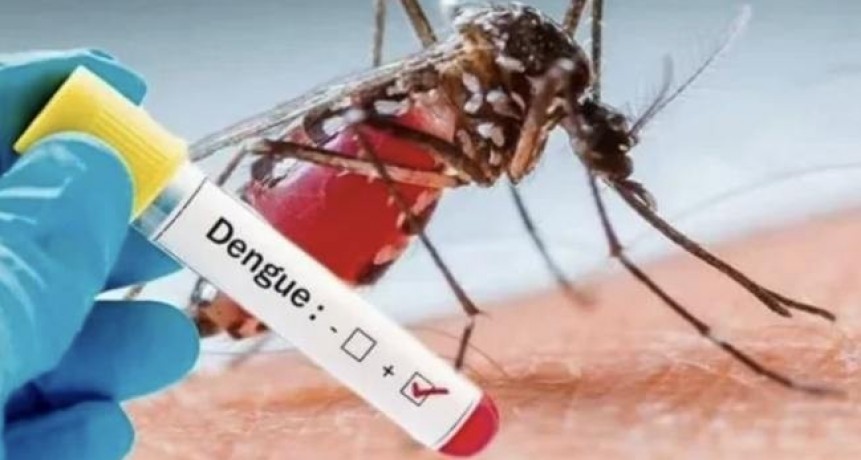 Salud inform&oacute; que falleci&oacute; una joven por dengue que ten&iacute;a cormobilidades