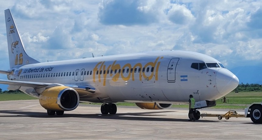 Un avi&oacute;n de Flybondi sufri&oacute; la ingesta de un p&aacute;jaro y tuvo que abortar el despegue en Ezeiza