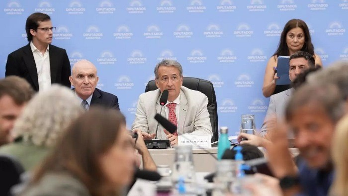 El Gobierno consigue dictamen para suspender las Paso