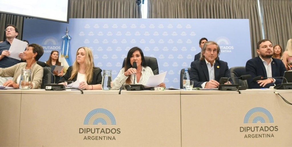 Dictamen para bajar la imputabilidad a 14 años: el oficialismo firmó con aliados y lo vota mañana en Diputados