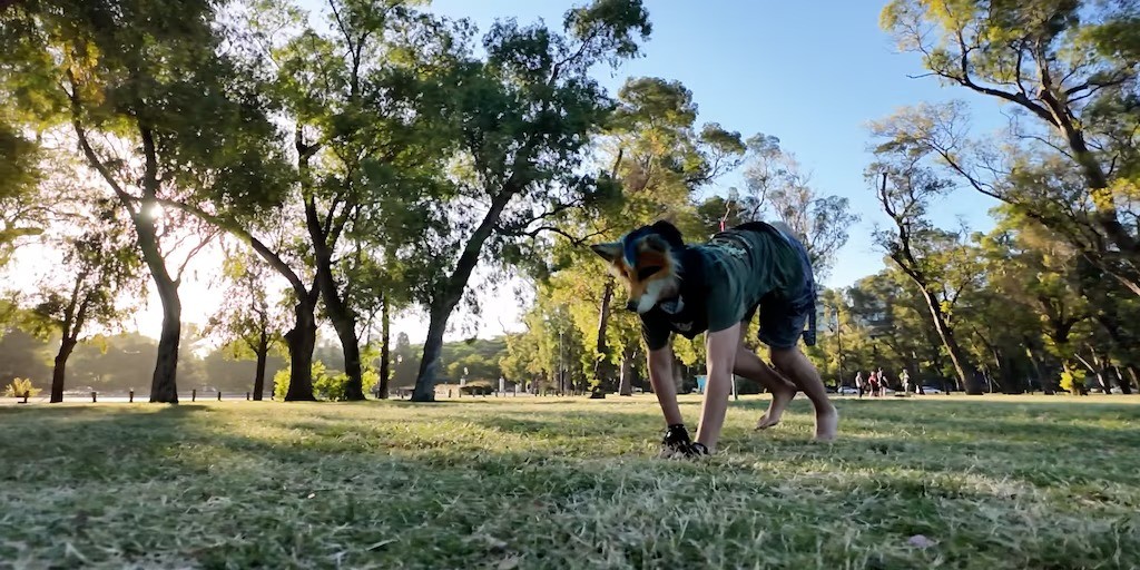 San Luis: un therian que se autopercibe perro quiso atenderse en una veterinaria por