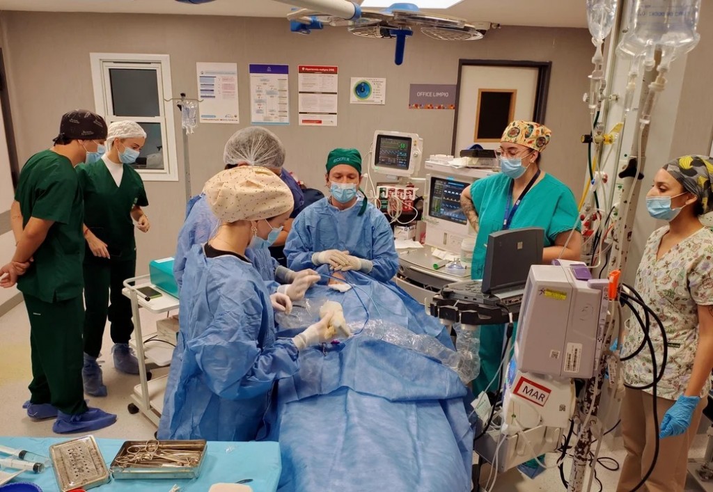 Córdoba: realizaron por primera vez en el sistema público una ablación por microondas para tratar nódulos tiroideos