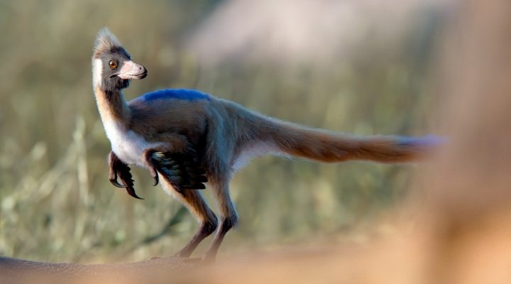 Cuba sin combustible para aviones: régimen informa a aerolíneas del colapso por sanciones de EEUU