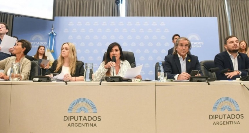 Dictamen para bajar la imputabilidad a 14 años: el oficialismo firmó con aliados y lo vota mañana en Diputados
