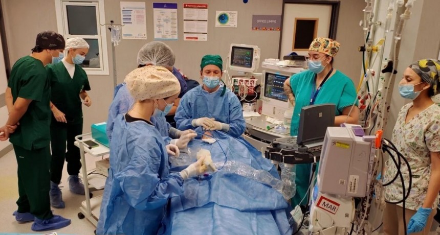 Córdoba: realizaron por primera vez en el sistema público una ablación por microondas para tratar nódulos tiroideos