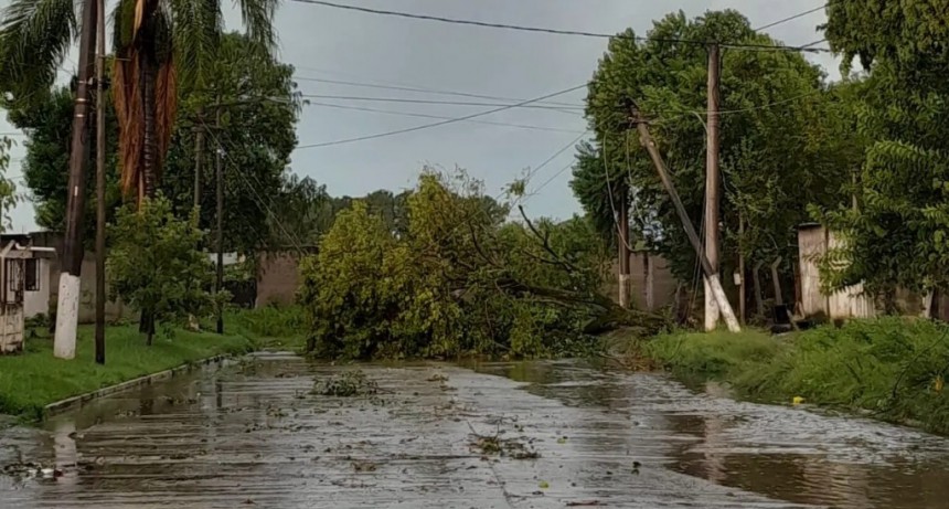 Alerta naranja en Tucum&aacute;n: el temporal provoc&oacute; ca&iacute;da de &aacute;rboles, postes y voladura de techos en varias localidades