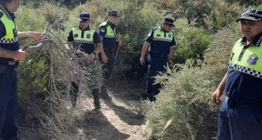 Secuestraron plantas de marihuana en Amaicha del Valle