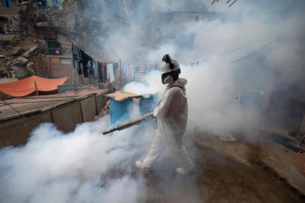 Brasil, Paraguay y Argentina son los países más afectados por los brotes de dengue en América
