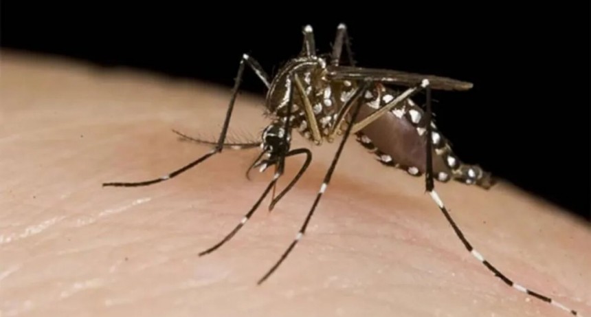 Se registraron nuevas muertes por dengue en varias provincias