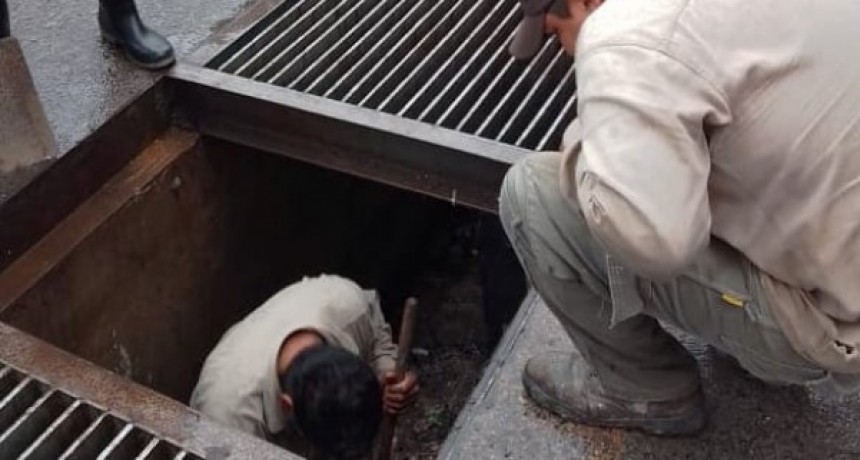 Se retiraron 12.000 kilos de basura de desag&uuml;es pluviales
