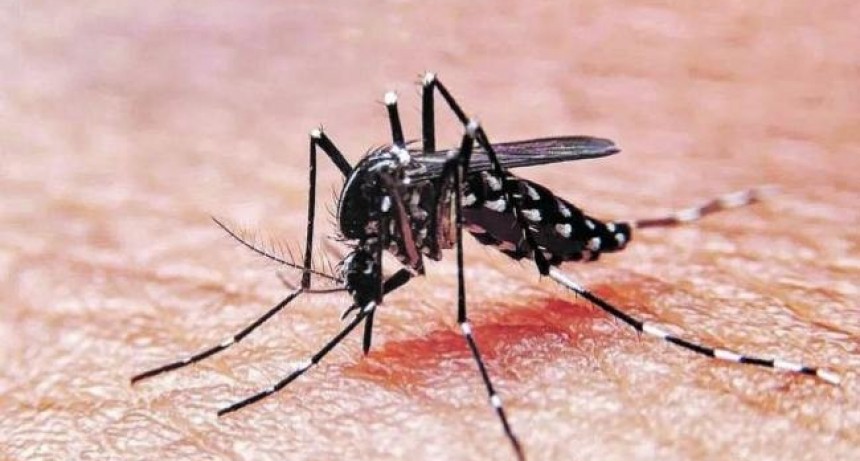 Dengue: la importancia de tomar medidas de prevenci&oacute;n