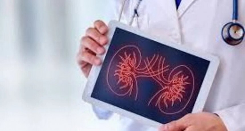 D&iacute;a Mundial del Ri&ntilde;&oacute;n: las 8 reglas de oro para cuidar la salud renal