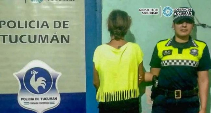 Detienen a la c&oacute;mplice del robo en una vivienda de Concepci&oacute;n