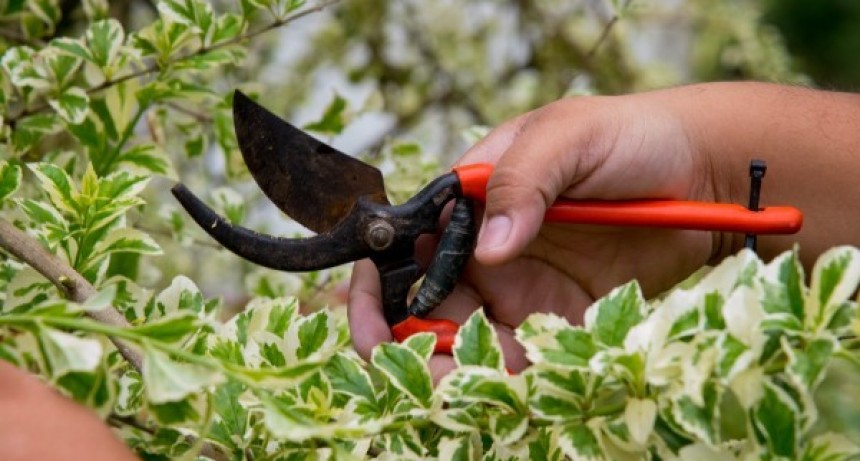 Vecinos de la capital podr&aacute;n aprender jardiner&iacute;a gratis en el Parque 9 de Julio