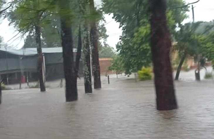 Ruta 157 cortada, derrumbes en la 308 y &aacute;rboles ca&iacute;dos en la 338: el mapa completo de las v&iacute;as intransitables en Tucum&aacute;n
