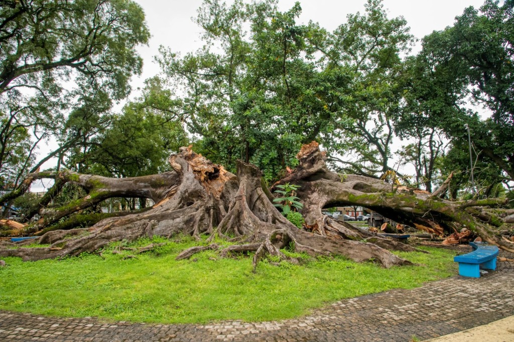 Ultiman detalles en la nueva alcaid&iacute;a de Delf&iacute;n Gallo