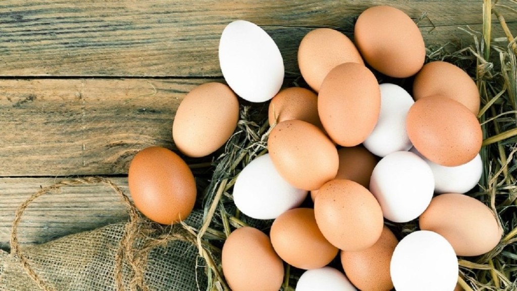 Tucum&aacute;n bate r&eacute;cords en consumo de huevos: cada habitante come m&aacute;s de 400 unidades por a&ntilde;o