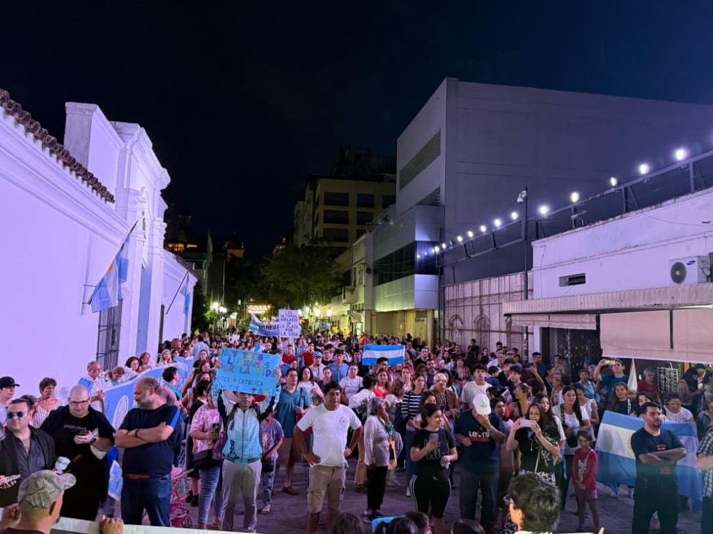 Marcha por la Vida: testimonios y el pedido de derogacion de la Ley del Aborto