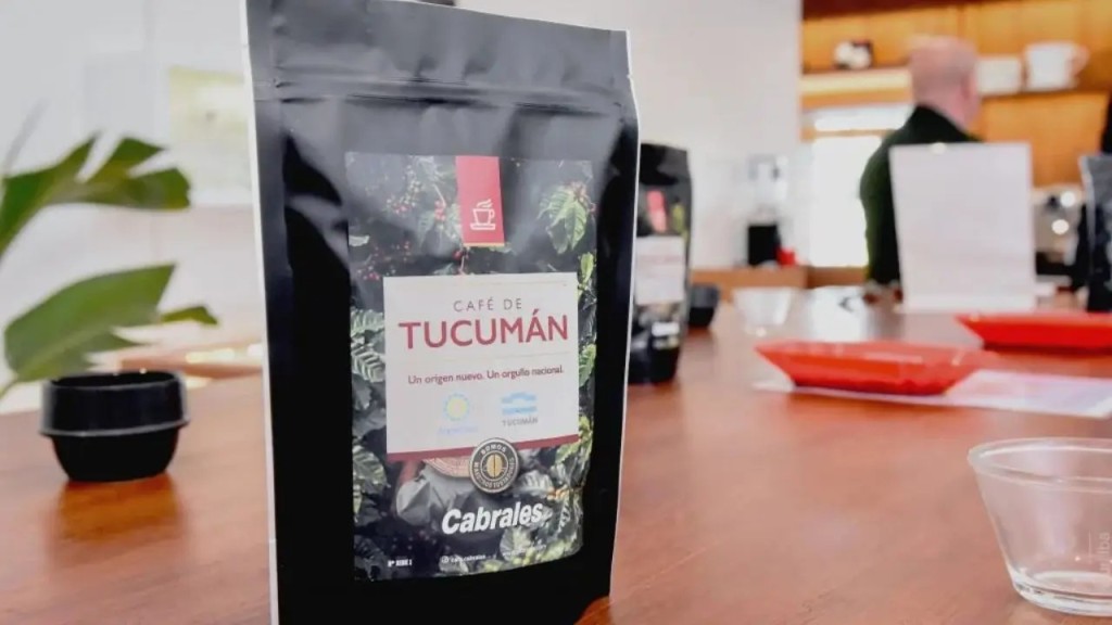 Tucum&aacute;n comenzar&aacute; a producir caf&eacute; a escala comercial y Cabrales ser&aacute; la empresa compradora