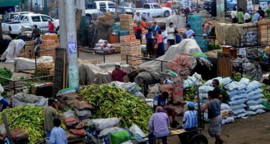 Las lluvias en Tucum&aacute;n golpean a las verduras de hoja pero benefician al citrus: los precios en el Mercofrut