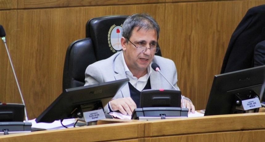 &ldquo;No se eligi&oacute; un defensor del pueblo, se pagaron favores pol&iacute;ticos&rdquo;: Seleme cuestion&oacute; la designaci&oacute;n de Fern&aacute;ndez