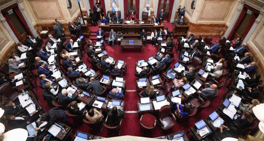 La Libertad Avanza en el Senado se opone a subir sus dietas y apela a la coherencia con el esfuerzo de los argentinos