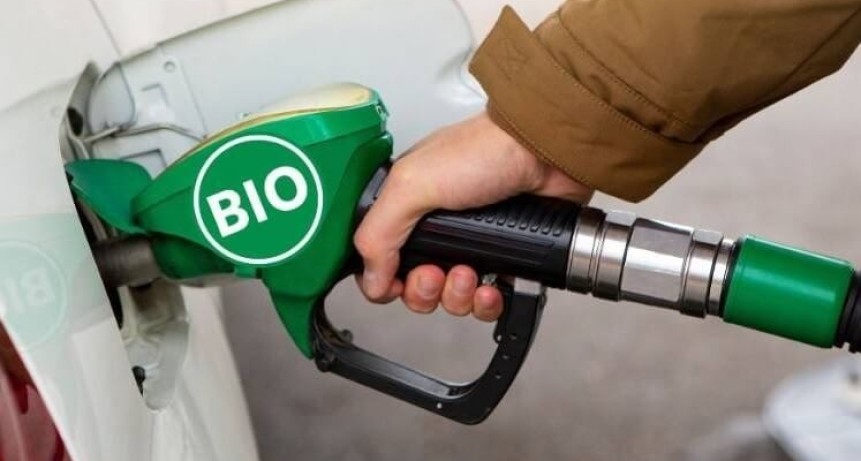 Combustibles: la nueva resoluci&oacute;n que flexibiliza el corte de bioetanol para contener el aumento en surtidor