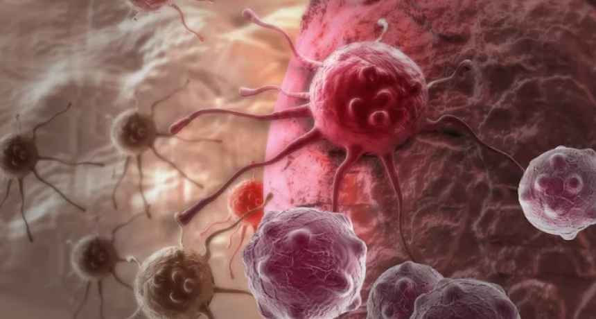 Científicos del Conicet avanzan en la vacuna contra el cáncer