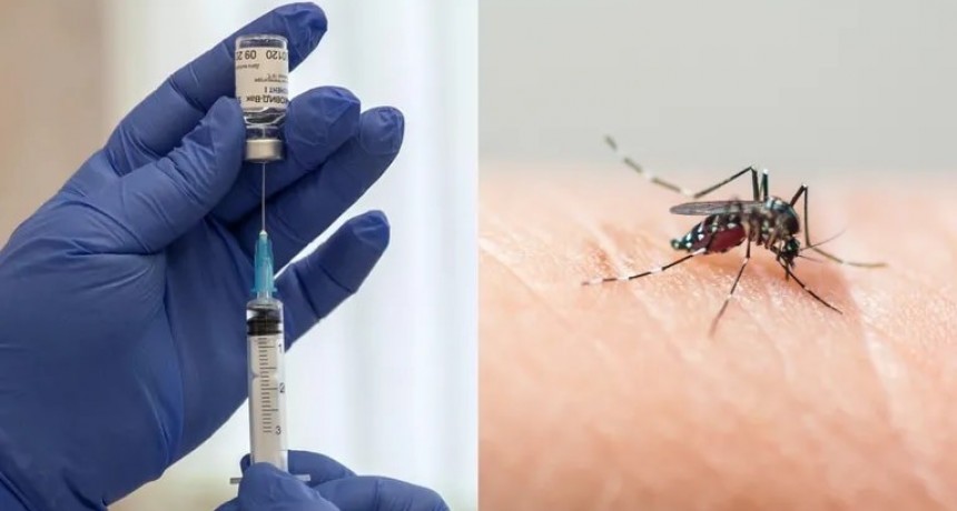 Dengue: La ANMAT aprobó el uso de la vacuna del laboratorio Takeda