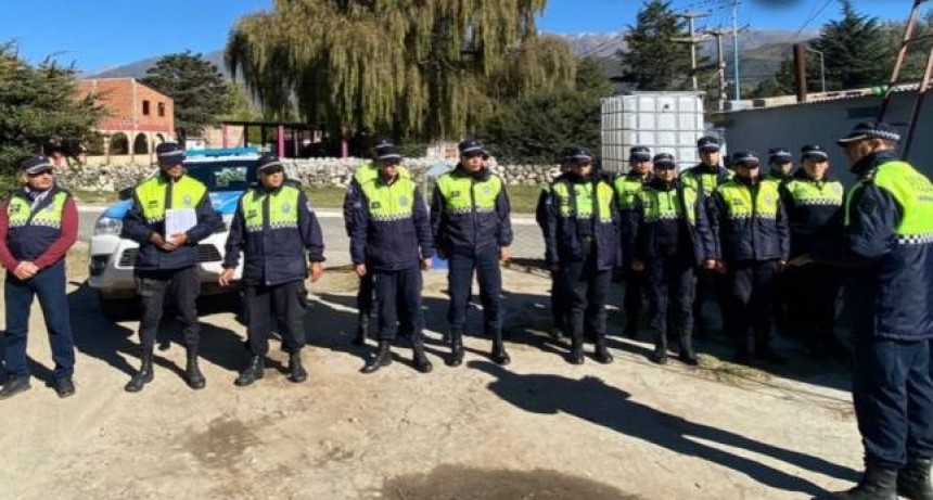 Valles Calchaquíes: encuentran plantas de marihuana en un allanamiento