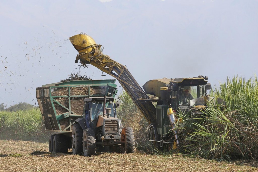 Zafra récord en Brasil: “Tenemos que generar condiciones óptimas para que la producción tucumana sea competitiva”, dijo al respecto el legislador Seleme