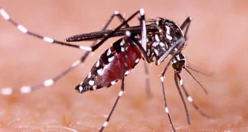 Catamarca: un adolescente de 13 a&ntilde;os falleci&oacute; tras contraer dengue