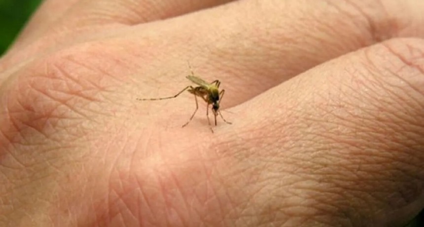 Naci&oacute;n combatir&aacute; el dengue &ldquo;basado en la evidencia cient&iacute;fica y no en operaciones de prensa&rdquo;