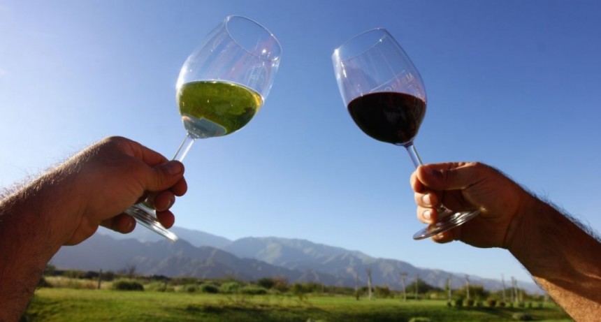 Vinos y paisajes deslumbrantes: el maridaje perfecto para tomarte unos d&iacute;as en el valle