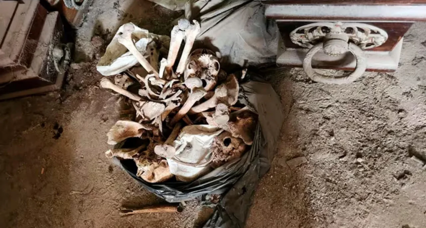 Identificaron a 150 cad&aacute;veres que estaban abandonados en el Cementerio de La Plata